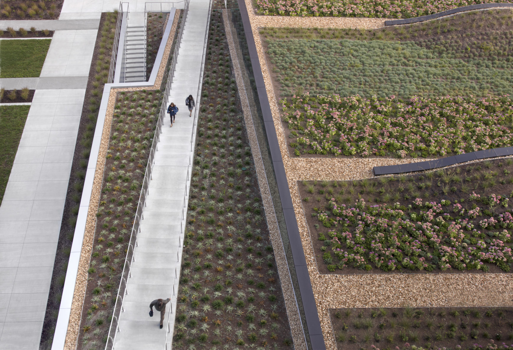 KU medical center green roof