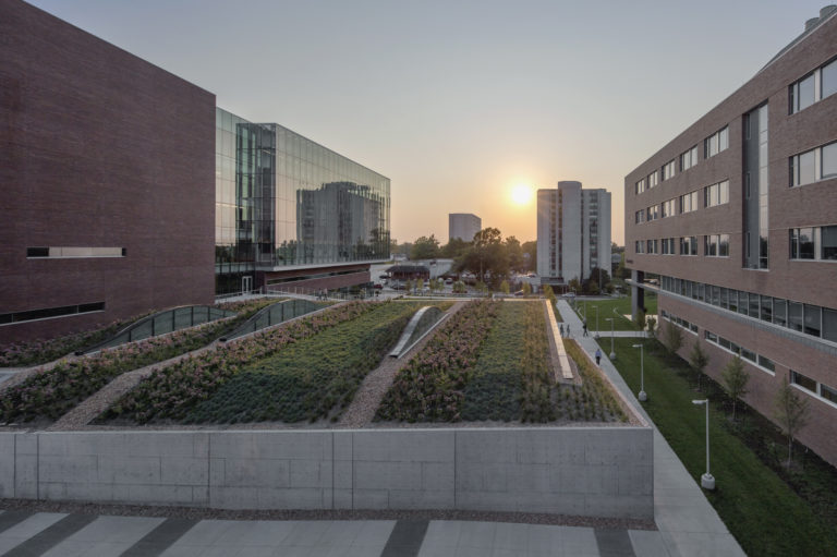 Green roof at KU medical center health education building